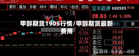 甲醇期货1905行情/甲醇期货最新费用-第2张图片