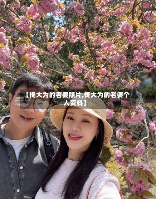 【佟大为的老婆照片,佟大为的老婆个人资料】-第2张图片