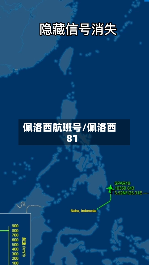 佩洛西航班号/佩洛西81-第2张图片