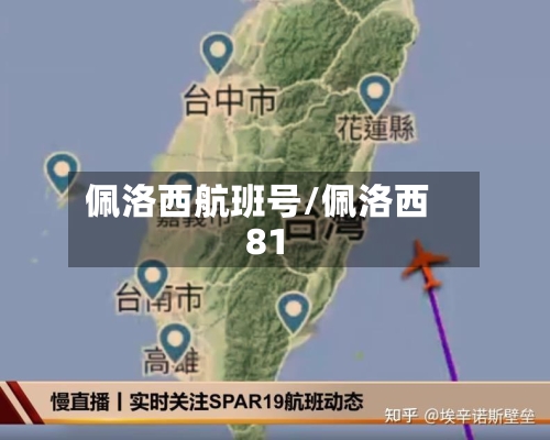 佩洛西航班号/佩洛西81