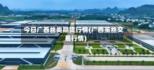 今日广西丝类期货行情(广西茧丝交易行情)