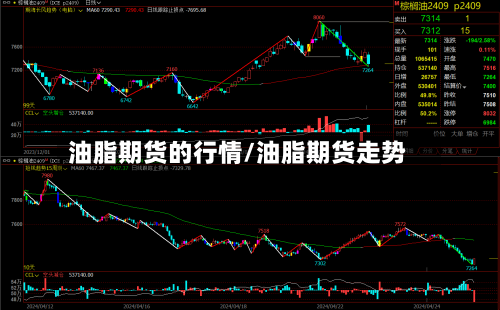 油脂期货的行情/油脂期货走势