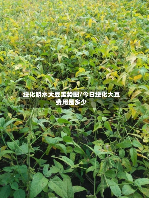 绥化明水大豆走势图/今日绥化大豆费用是多少-第3张图片