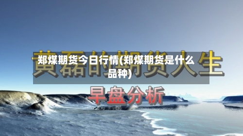 郑煤期货今日行情(郑煤期货是什么品种)