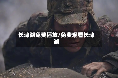 长津湖免费播放/免费观看长津湖