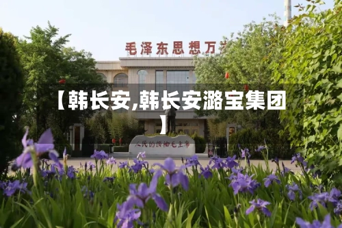 【韩长安,韩长安潞宝集团】-第2张图片