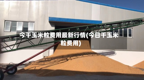今干玉米粒费用最新行情(今日干玉米粒费用)-第2张图片