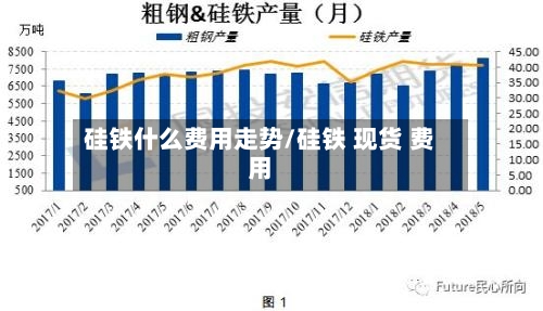 硅铁什么费用走势/硅铁 现货 费用