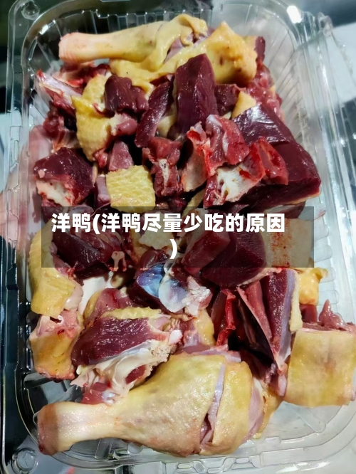洋鸭(洋鸭尽量少吃的原因)-第2张图片