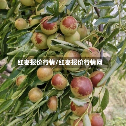 红枣报价行情/红枣报价行情网-第2张图片