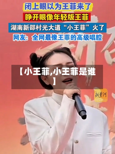 【小王菲,小王菲是谁】-第2张图片