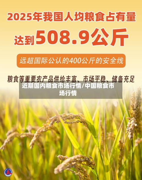 近期国内粮食市场行情/中国粮食市场行情-第3张图片