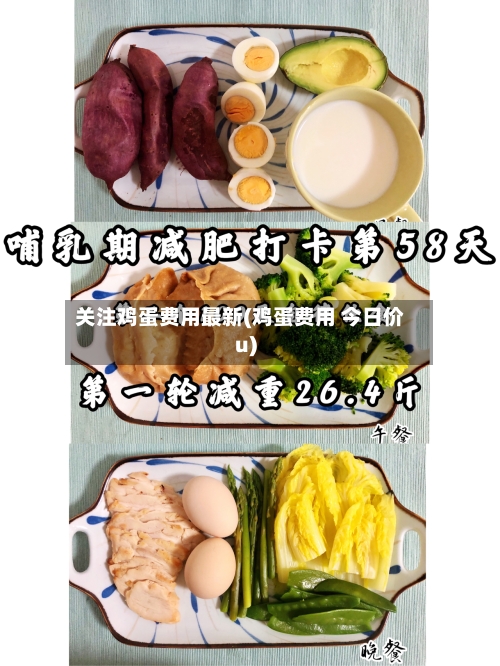 关注鸡蛋费用最新(鸡蛋费用 今日价u)