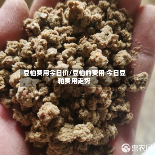 豆柏费用今日价/豆柏的费用 今日豆粕费用走势-第2张图片