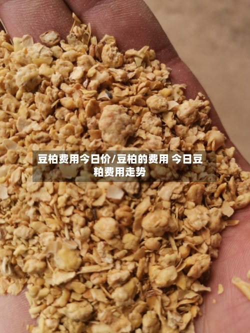 豆柏费用今日价/豆柏的费用 今日豆粕费用走势