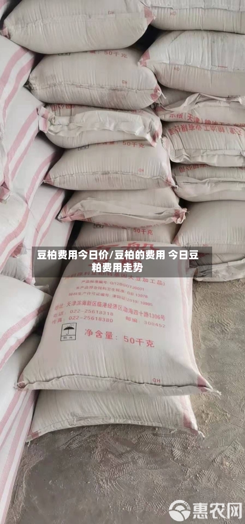 豆柏费用今日价/豆柏的费用 今日豆粕费用走势-第3张图片