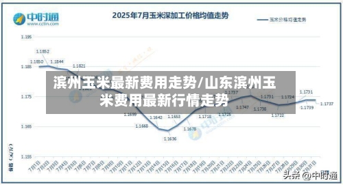 滨州玉米最新费用走势/山东滨州玉米费用最新行情走势-第2张图片