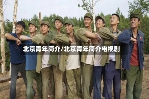 北京青年简介/北京青年简介电视剧-第2张图片