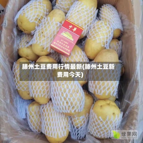 滕州土豆费用行情最新(滕州土豆新费用今天)