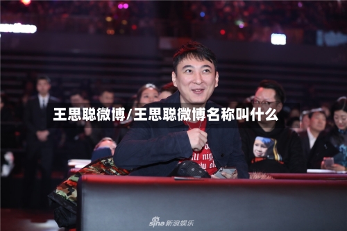 王思聪微博/王思聪微博名称叫什么-第2张图片