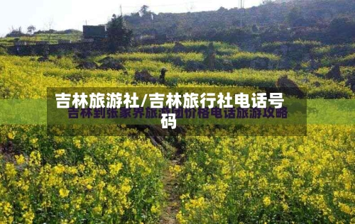 吉林旅游社/吉林旅行社电话号码-第2张图片