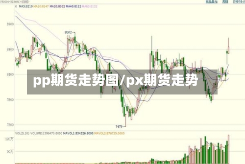 pp期货走势图/px期货走势-第2张图片