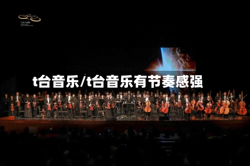 t台音乐/t台音乐有节奏感强