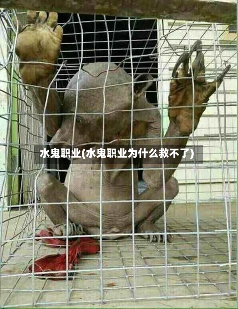 水鬼职业(水鬼职业为什么救不了)-第2张图片