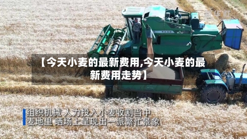 【今天小麦的最新费用,今天小麦的最新费用走势】