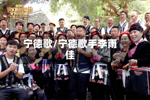 宁德歌/宁德歌手李雨佳-第2张图片