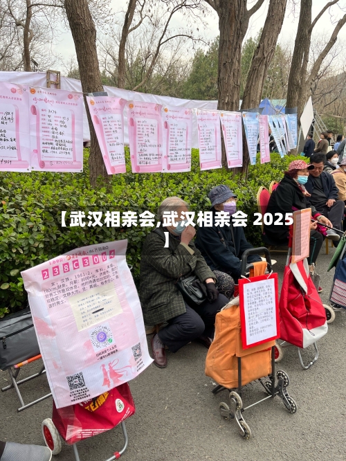 【武汉相亲会,武汉相亲会 2025】-第2张图片