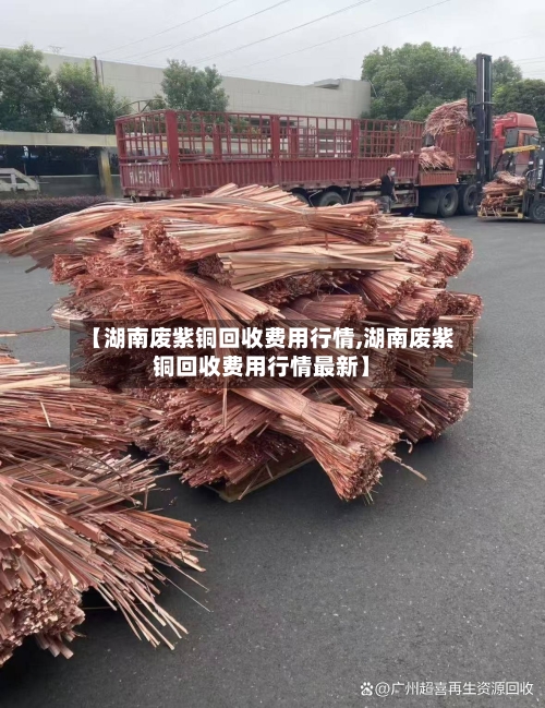 【湖南废紫铜回收费用行情,湖南废紫铜回收费用行情最新】