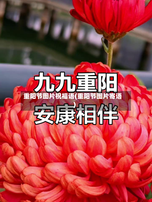 重阳节图片祝福语(重阳节图片寄语)-第2张图片