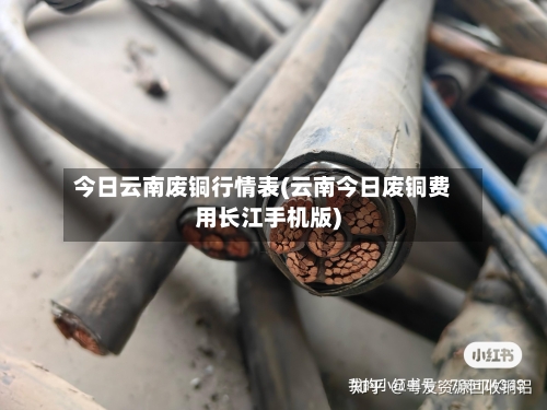 今日云南废铜行情表(云南今日废铜费用长江手机版)