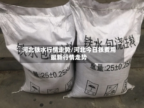 河北铁水行情走势/河北今日铁费用最新行情走势