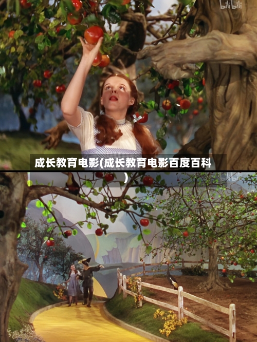 成长教育电影(成长教育电影百度百科)
