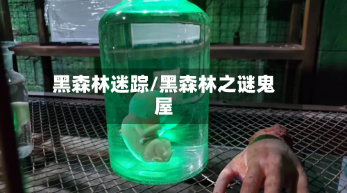 黑森林迷踪/黑森林之谜鬼屋-第3张图片