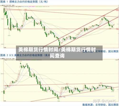 美棉期货行情时间/美棉期货行情时间查询-第3张图片