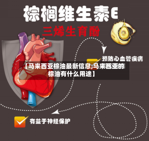 【马来西亚棕油最新信息,马来西亚的棕油有什么用途】-第2张图片