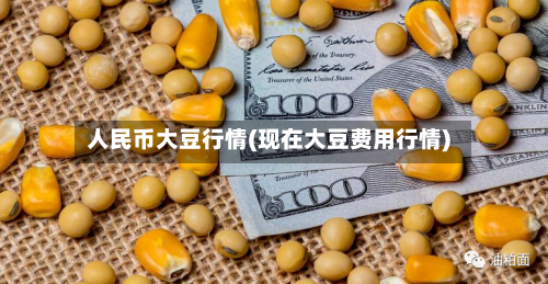 人民币大豆行情(现在大豆费用行情)