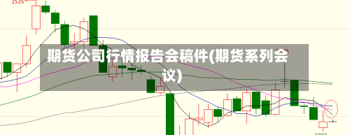 期货公司行情报告会稿件(期货系列会议)