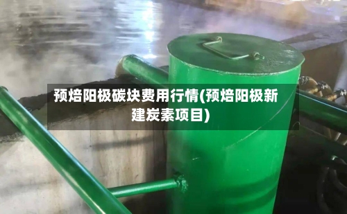 预焙阳极碳块费用行情(预焙阳极新建炭素项目)-第3张图片