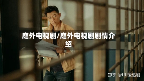 庭外电视剧/庭外电视剧剧情介绍-第2张图片
