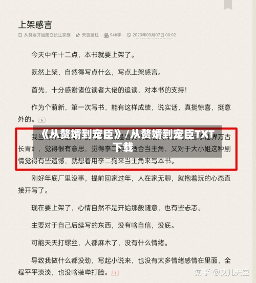 《从赘婿到宠臣》/从赘婿到宠臣TXT下载-第2张图片