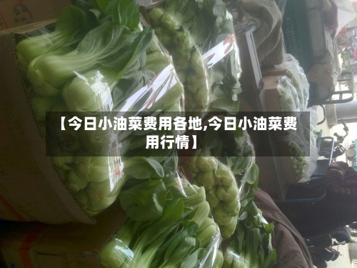 【今日小油菜费用各地,今日小油菜费用行情】-第2张图片