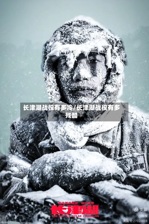 长津湖战役有多冷/长津湖战役有多残酷-第3张图片