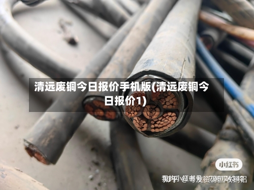 清远废铜今日报价手机版(清远废铜今日报价1)-第2张图片