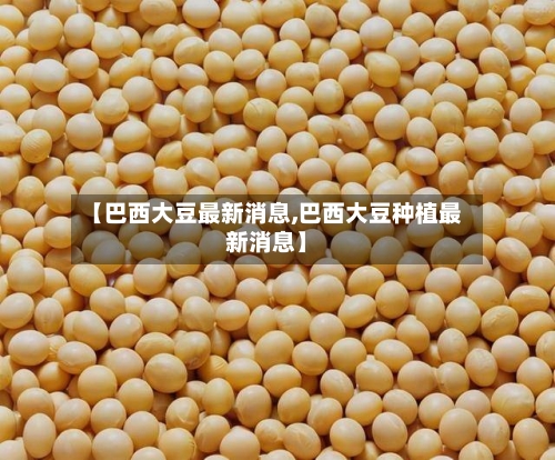 【巴西大豆最新消息,巴西大豆种植最新消息】-第3张图片