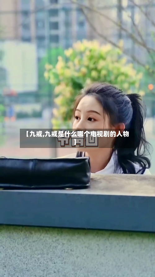 【九戒,九戒是什么哪个电视剧的人物】