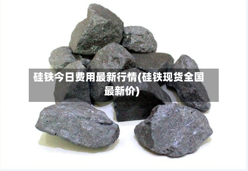硅铁今日费用最新行情(硅铁现货全国最新价)-第2张图片